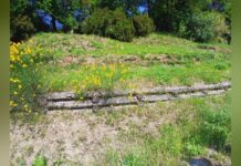 Un’oasi per le api nel Parco Montepagano di Sestri Levante, via al progetto
