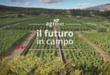 Ogni giovedì sera su Teleradiopace il viaggio di “Agrinet: il futuro in campo”