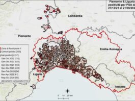 Peste suina africana: altri 8 casi in Liguria