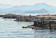 Lavagna, il TAR accoglie il ricorso di Aqua e annulla il provvedimento del Comune