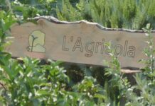 Al Centro di San Salvatore, riapre l’Agricola: agriturismo inclusivo