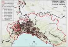 Peste suina africana: sette nuovi casi in Liguria per un totale di 1354