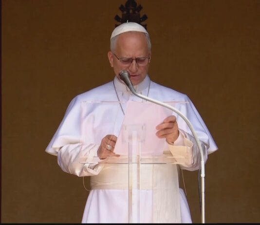 Papa: non dimenticarsi di chi soffre a causa dei conflitti