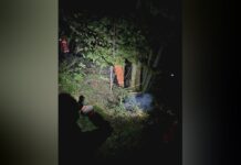 Lavagna: incendio boschivo a Sorlana nella notte di mercoledì