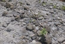 Il torrente Lavagna è a secco all’altezza di S. Colombano C.